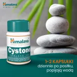 himalaya-cystone-100-tabletek-nazwa-cystone