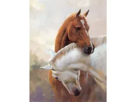 haft-diamentowy-obraz-mozaika-diamentowa-diamond-painting-dwa-konie-30x4