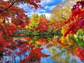 haft-diamentowy-obraz-mozaika-diamentowa-diamond-painting-park-jesienia