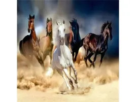 haft-diamentowy-obraz-mozaika-diamentowa-diamond-painting-stado-koni-w-g