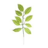 sztuczne-liscie-gardenia-lisc-ozdobny-zielony-do-wiazanek-kompozycji-stan-nowy