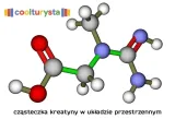 kreatyna-monohydrat-500-g-waga-500-g