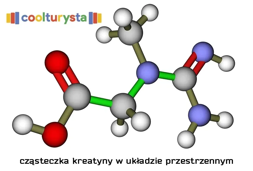 kreatyna-monohydrat-500-g-rodzaj-monohydrat-kreatyny