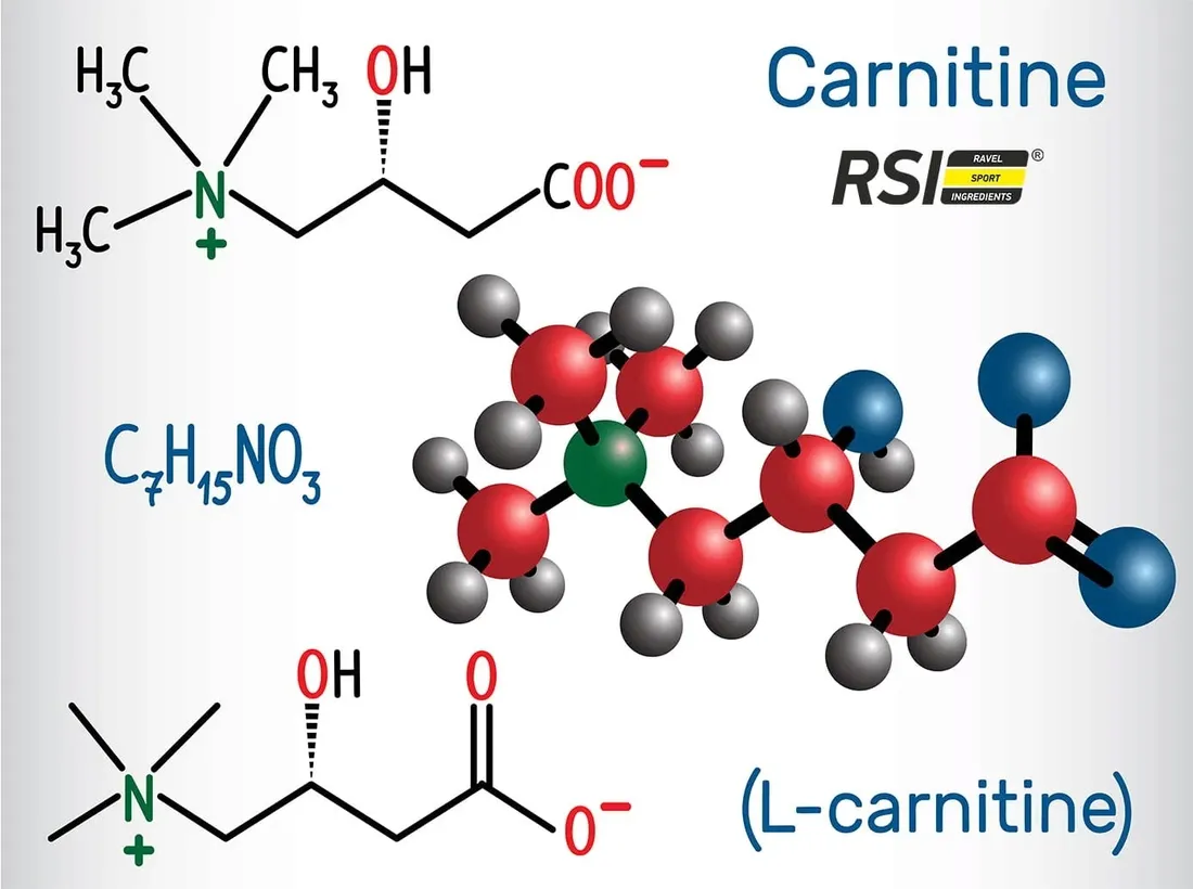 rsi-l-karnityna-pure-150g