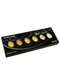 farby-akwarelowe-gansai-tambi-6-metaliczne-starry-colors
