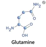 glutamina-czysta-proszek-400-g-marka-rsi