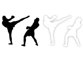 karate-boks-taekwondo-naklejka-na-samochod-na-auto-kolor