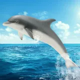 schleich-14808-delfin-marka-schleich