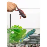 schleich-kameleon-14858-stan-nowy