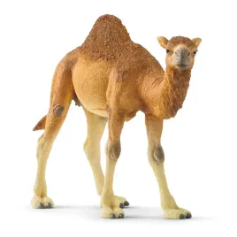 schleich-dromader-14832