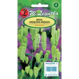 briza-drzaczka-wieksza-slomkowozolty-1g