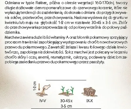 marchew-olympus-typ-flakee-nasiona-5-g