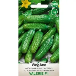 ogorek-valerie-konserwowy-mieszaniec-f1-3g-w