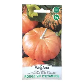 dynia-rouge-vif-d-etampes-nasiona-3-g-wegana