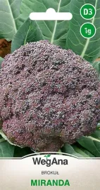 brokul-miranda-wegana-miranda-nasiona-1-g