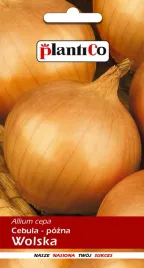 nasiona-cebula-wolska-5g-ponad-1250-nasion-bez-gmo