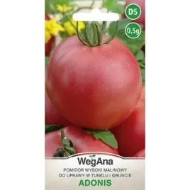 wegana-pomidor-malinowy-adonis-05g-nasiona-wysoki-grunt-tunel