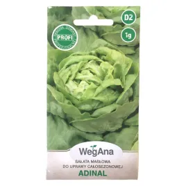 salata-maslowa-adinal-wegana-d2-1-g