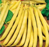 fasola-maxidor-nasiona-40-g