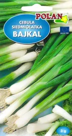 cebula-wieloletnia-bajkal-nasiona-3-g