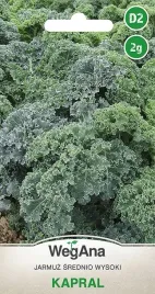 kapusta-jarmuz-nasiona-2-g