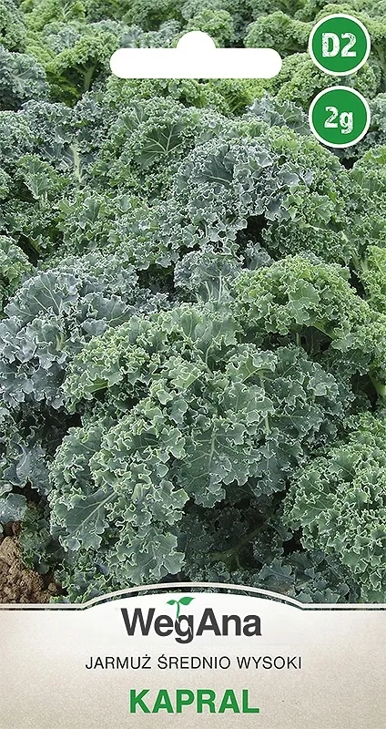 kapusta-jarmuz-nasiona-2-g