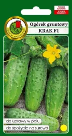 ogorek-krak-2g-ogorek-gruntowy-krak-2g-pnos