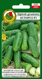 ogorek-gruntowy-octopus-f1-1-5-g-pnos