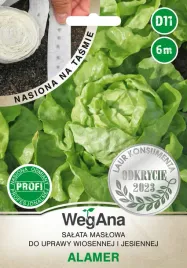 salata-maslowa-alamer-sr-wczesna-6m-calosezonowa-nasiona-na-tasmie-wegana