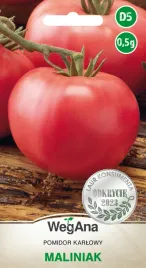 pomidor-maliniak-niski-malinowy-05g-grunt-slodki-soczysty-nasiona-wegana