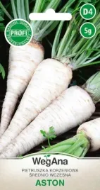 pietruszka-korzeniowa-srednio-wczesna-aston