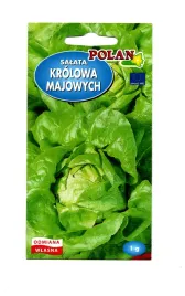 salata-gruntowa-polan-krolowa-majowych-1-g