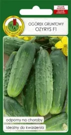 nasiona-ogoerek-gruntowy-ozyrys-f1-2g-pnos