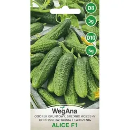 ogorek-alice-f1-nasiona-3-g