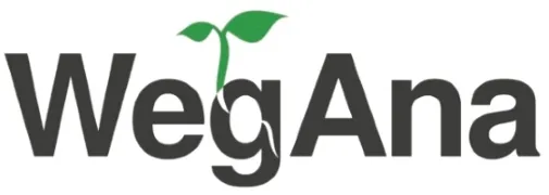 wegana-cebula-alice-3g-wegana-cebula-alice