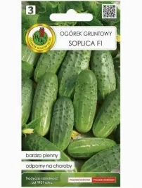 nasiona-ogorka-ogorek-soplica-f1-2g