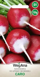 rzodkiewka-wczesna-caro-nasiona