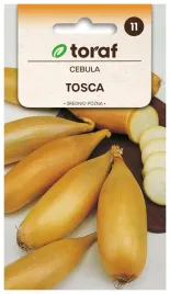 cebula-tosca-nasiona-2-g