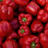 papryka-trapez-nasiona-05-g