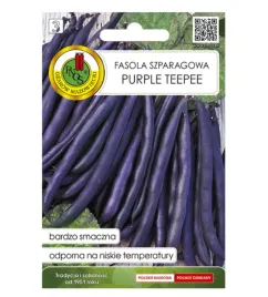 nasiona-fasoli-fasola-szparagowa-fioletowa-20g