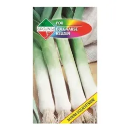 por-bulgaarse-reuzen-por-bulgaarse-rauzen