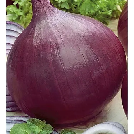nasiona-cebuli-grenada-wegana-3-g