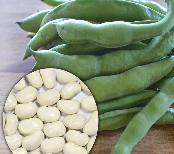 fasola-jas-nasiona-40-g