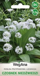 nasiona-czosnku-niedzwiedziego-wegana-05-g-wieloletnia