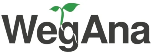 wegana-melisa-lekarska-03g