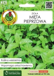 nasiona-miety-pieprzowej-pnos-02-g