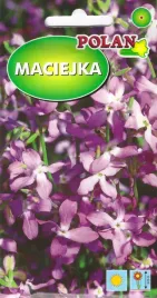 maciejka-pieknie-intensywnie-pachnaca-nasiona-5g-polan