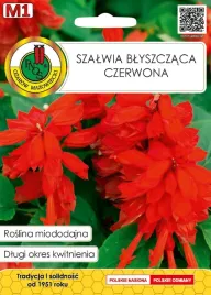 szalwia-blyszczaca-czerwona-05g-nasiona-dlugi-okres-kwitnienia-miododajna