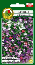 lobelia-zwieszajaca-sie-cascade-mieszana-01g-pnos
