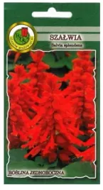 szalwia-blyszczaca-czerwona-05g-pnos